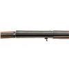 Image 7 : Belgian Browning ''Light Twelve'' Model Semi-Automatic Shotgun