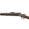 Image 15 : Argentine Model 1879 Remington Rolling Block Single Shot Rifle