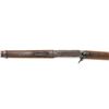 Image 9 : Marlin Model 1894 Lever Action Saddle Ring Carbine