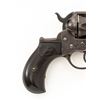 Image 3 : Colt Model 1877 Thunderer Double Action Revolver