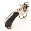 Image 11 : Irish Constabulary Marked Solid Frame Double Action Revolver with Holster