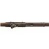 Image 7 : British Tower 2-Band Percussion Muzzle Loading Rifled Musket
