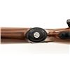 Image 12 : Early Ruger M77V Varmint Bolt Action Rifle with Flat Bolt