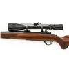 Image 16 : Early Ruger M77V Varmint Bolt Action Rifle with Flat Bolt
