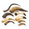 Image 1 : Lot of Nine (9) Misc. Powder Horns