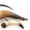 Image 3 : Lot of Nine (9) Misc. Powder Horns