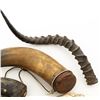 Image 7 : Lot of Nine (9) Misc. Powder Horns