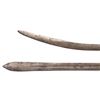 Image 6 : Lot of Two (2) Indian Tulwar Swords