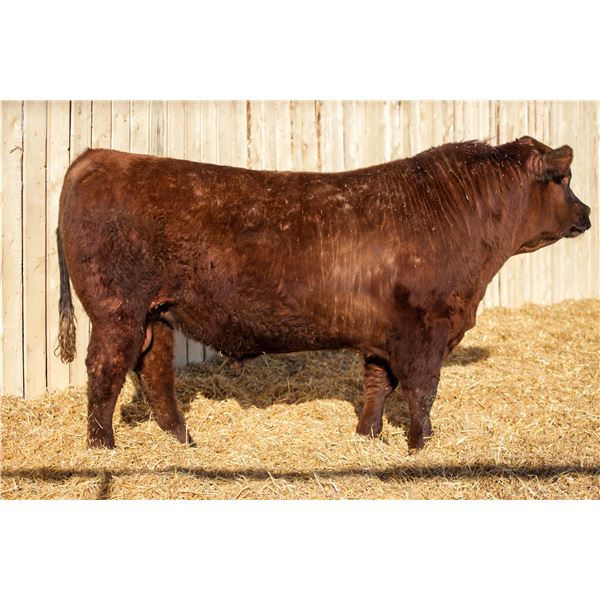 RED RCR CRAFTSMAN 61M