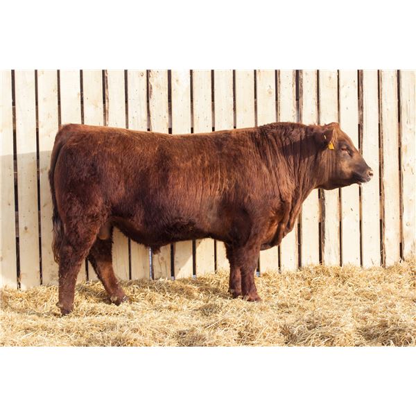 RED RCR CRAFTSMAN 92M