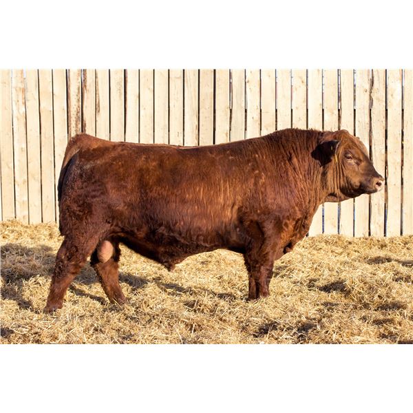 RED RCR CRAFTSMAN 98M