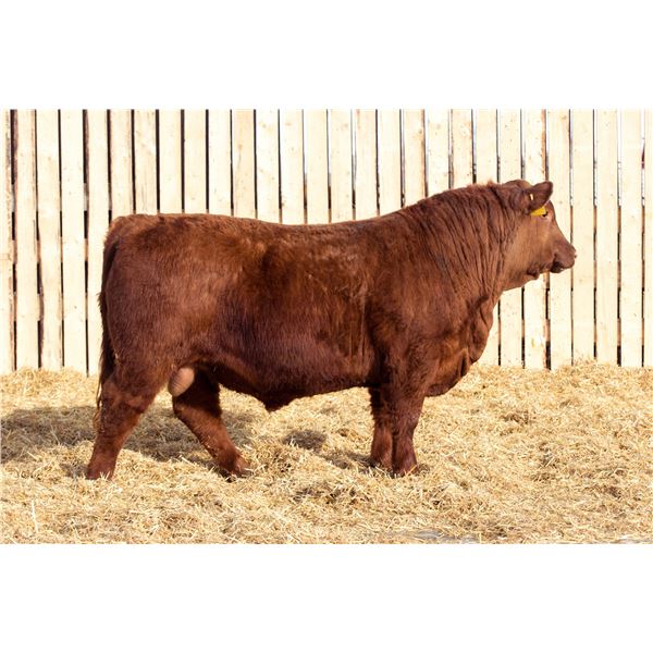 RED RCR CRAFTSMAN 161M