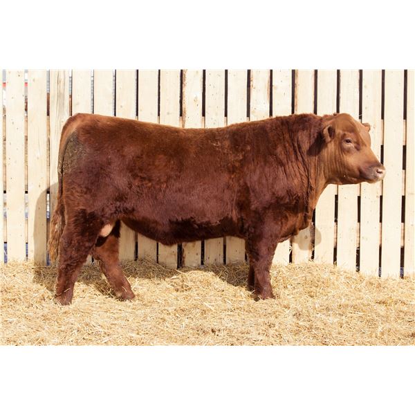 RED RCR CRAFTSMAN 193M