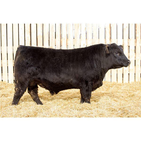 MCRAE’S RENOVATION 4041M