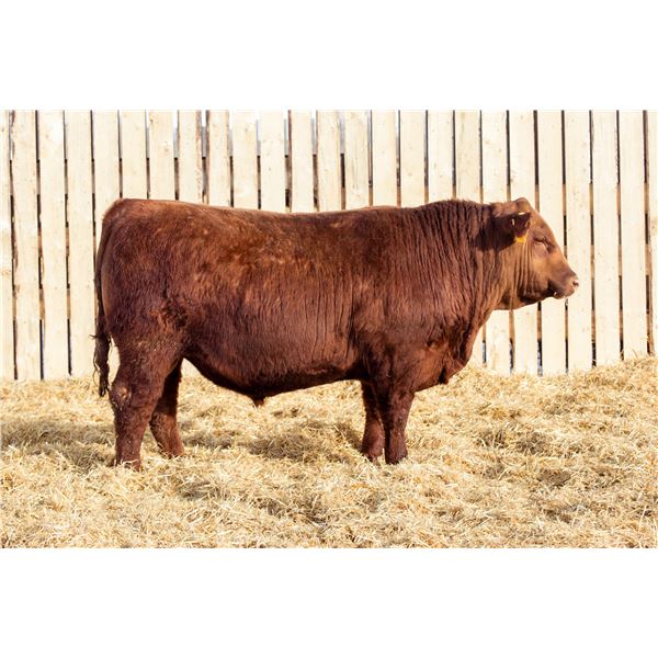 RED MCRAE’S RIPZONE 4025M