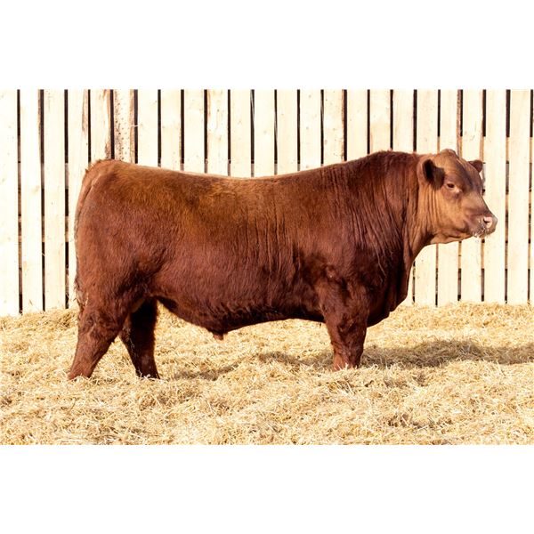 RED MCRAE’S RIPZONE 4037M