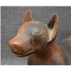 Image 8 : TAXCOCO COLIMA DOG