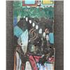 Image 3 : HOPI PAINTING