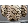 Image 10 : ZUNI POTTERY OWL