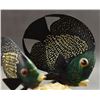 Image 9 : WOUNAAN TAGUA NUT CARVINGS