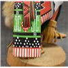 Image 12 : NAVAJO DOLL (JOE WALKER III)