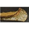 Image 7 : BIRCH BARK CANOE WITH ESKIMO DOLLS