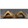 Image 6 : COWICHAN, KWAKWAKA'WAKW WOOD CARVINGS (BETTY DENIS JOE)