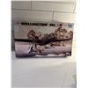 Image 1 : Trumpeter 1:48 Scale Wllington