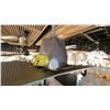 Image 3 : 60" DIAMETER AUTOMOTIVE SILVER FAN WITH REMOTE. SMART FAN