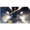 Image 2 : ESTELLE 12 LIGHT PENDANT. MATTE BLACK. APPROX 29" DIAMETER