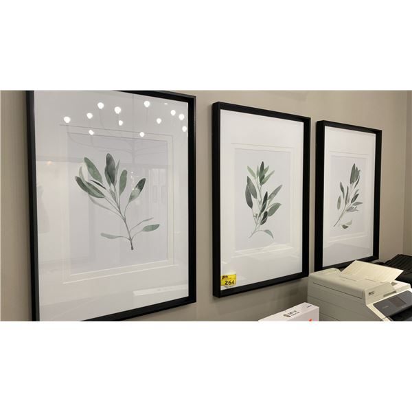 GROUP OF 3 FRAMED WATERCOLOUR PRINTS. 25" X 36" IN MAIN OFFICE