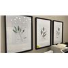 Image 1 : GROUP OF 3 FRAMED WATERCOLOUR PRINTS. 25" X 36" IN MAIN OFFICE