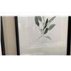 Image 2 : GROUP OF 3 FRAMED WATERCOLOUR PRINTS. 25" X 36" IN MAIN OFFICE