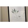 Image 3 : GROUP OF 3 FRAMED WATERCOLOUR PRINTS. 25" X 36" IN MAIN OFFICE