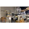 Image 1 : DELILAH 7 LIGHT CHANDELIER. BLACK WITH GLASS GLOBES.