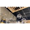 Image 2 : DELILAH 7 LIGHT CHANDELIER. BLACK WITH GLASS GLOBES.