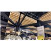 Image 2 : ERZO 10 LIGHT CHANDELIER. BLACK. 48"D