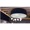 Image 1 : HARLEY 4 LIGHT FLUSH MOUNT. MATTE BLACK. 20"