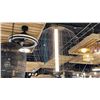 Image 1 : DELANO LED CHANDELIER. BLACK. 19"D RETAIL $770