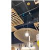 Image 2 : WARREN SINGLE LIGHT ANTIQUE BRASS CHAIN LINK PENDANT. 20"D