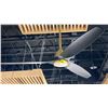 Image 1 : 62" CEILING FAN. SOFT BRASS WITH MATTE BLACK BLADES, REMOTE. SMART FAN