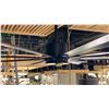 Image 2 : 65" 8 BLADE MATTE BLACK CEILING FAN. REMOTE. SMART FAN