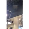 Image 2 : GRETA LED MINI PENDANT, 5 LIGHT. BLACK, BLOWN GLASS.