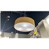 Image 1 : GROUP OF 2 CHANDELIERS. RETAIL $690