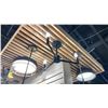 Image 1 : GROUP OF 3 CEILING MOUNT LIGHTS. RETAIL +$800