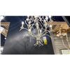 Image 1 : BRANCH 32" 12 LIGHT CHANDELIER. OLD WHITE. RETAIL $2700