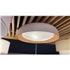 Image 10 : GROUP OF 8 LIGHTS. 7 FLUSHMOUNT, 1 PENDANT. RETAIL $2500