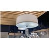 Image 5 : GROUP OF 8 LIGHTS. 7 FLUSHMOUNT, 1 PENDANT. RETAIL $2500