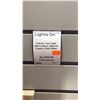 Image 34 : LARGE GROUP OF 31 OUTDOOR WALL MOUNT LIGHTS. 17 IN BOXES. RETAIL $10,500