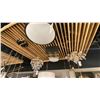 Image 1 : GROUP OF 5 LIGHTS. CEILING MOUNT. RETAIL $3820